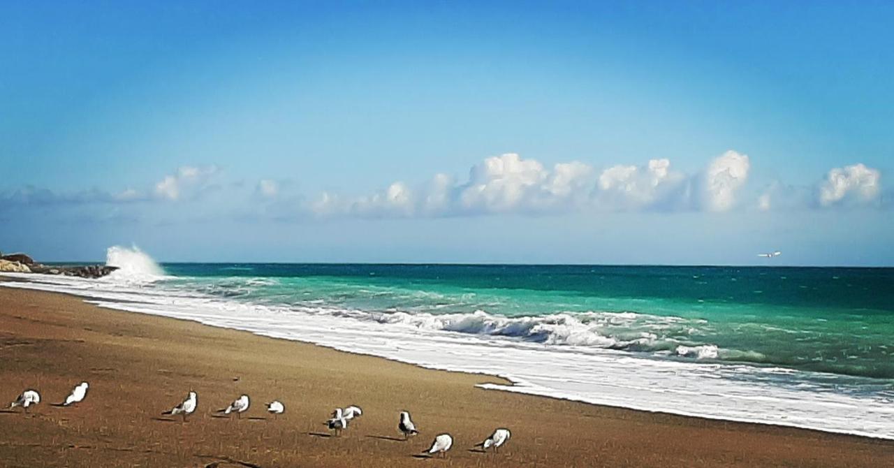 Agriturismo Alveare Finale Ligure Buitenkant foto