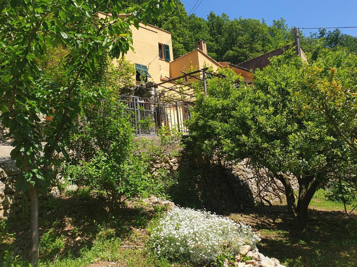 Agriturismo Alveare Villa Finale Ligure Buitenkant foto